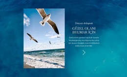 Dünyayı Dolaşmak #One-Page-Template-Tr-Seo-One-Item-Suffix