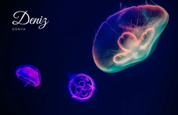 Deniz Dünyası #Website-Design-Tr-Seo-One-Item-Suffix