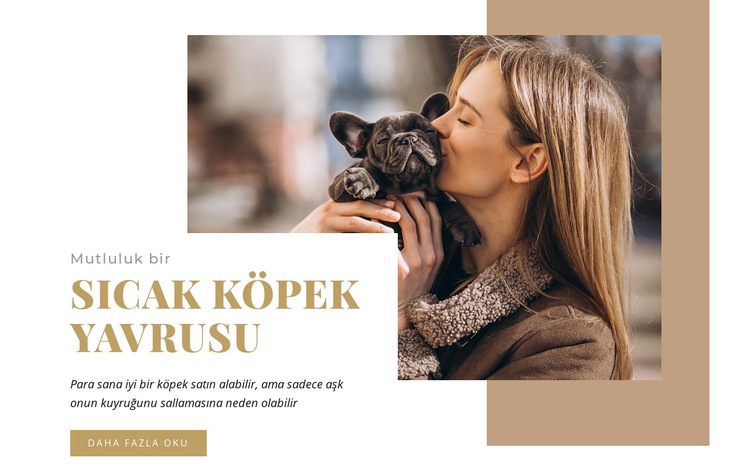 Sıcak köpek yavrusu Web Sitesi Şablonu