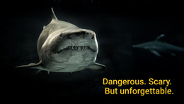 Dangerous Scary Unforgettable - Creative Multipurpose Homepage Design