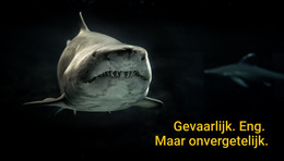 Gevaarlijk Eng Onvergetelijk - Websjabloon