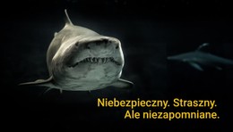 Niebezpieczne Przerażające Niezapomniane Witryna Jednostronicowa