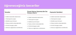 Öğreneceğiniz Beceriler - Güzel Açılış Sayfası