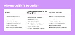 Öğreneceğiniz Beceriler Ücretsiz CSS Web Sitesi Şablonu