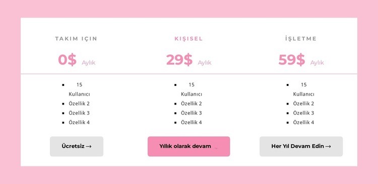 Doğru planı seçin Web sitesi tasarımı