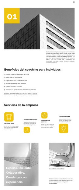 Ayuda Del Entrenador