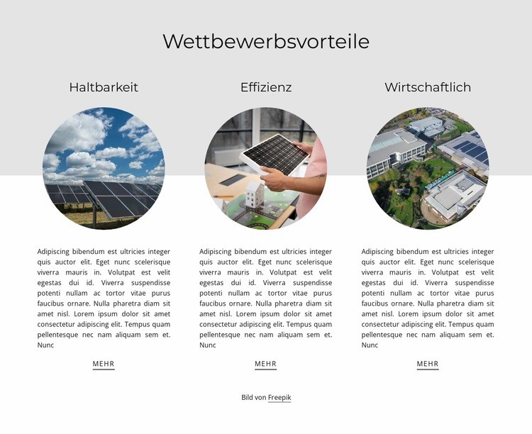 Wettbewerbsvorteile Website-Modell