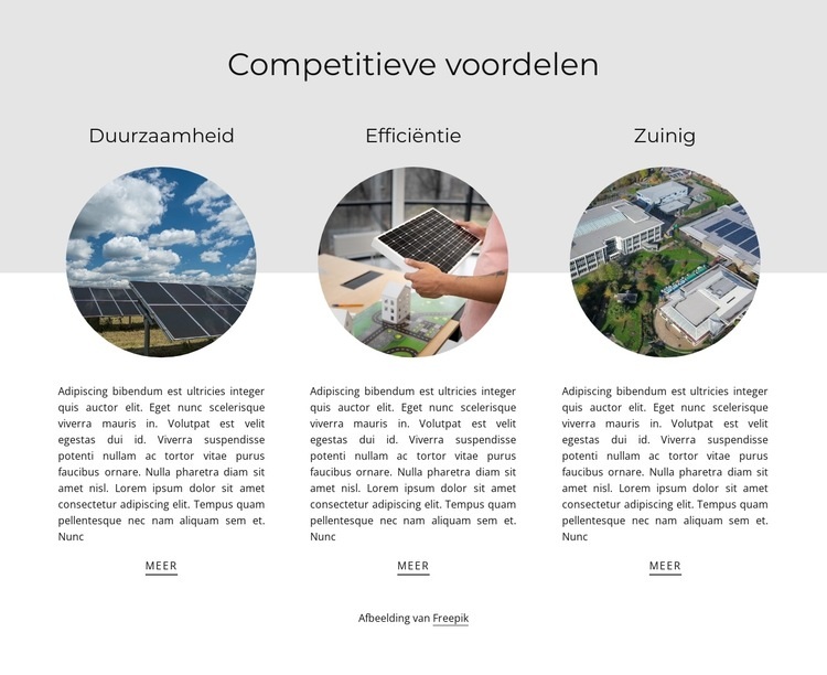 Concurrerende voordelen Html Website Builder