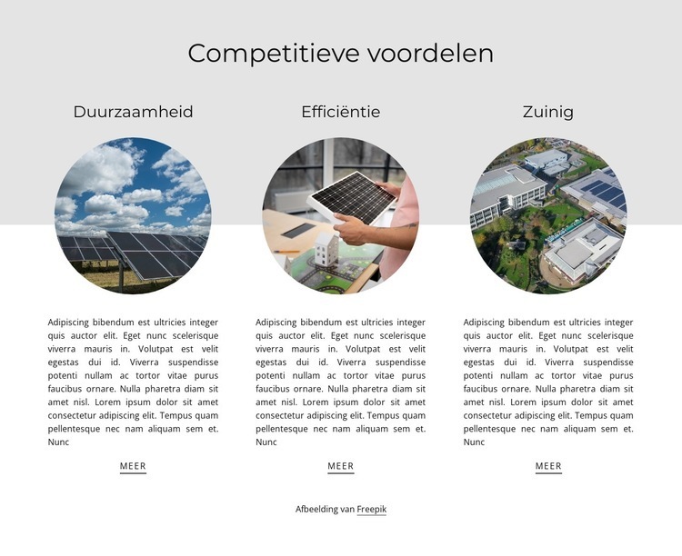 Concurrerende voordelen Website ontwerp