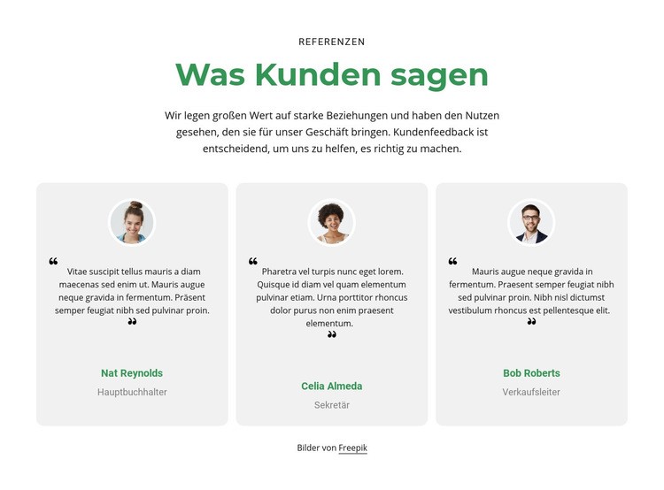 3 Spalten mit Erfahrungsberichten Website design