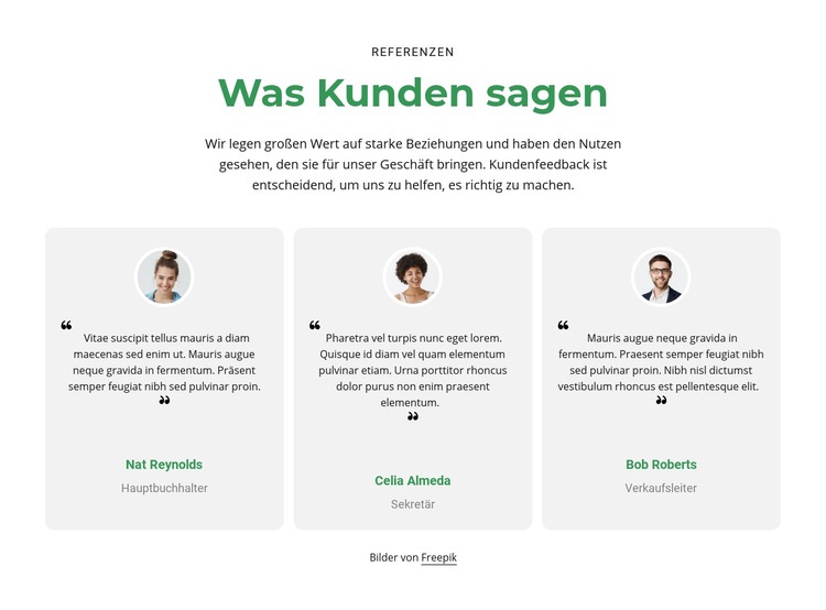 3 Spalten mit Erfahrungsberichten Website-Modell