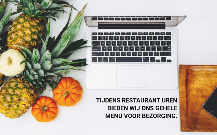 Menu levering WordPress-thema