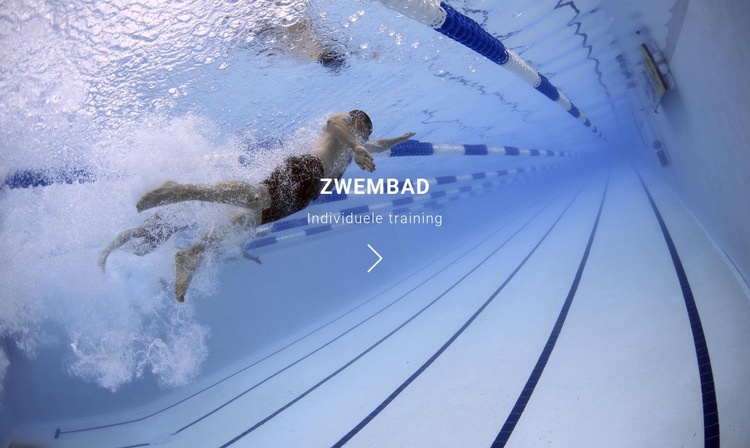 Zwembad Website ontwerp