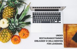 Menyleverans – Multi-Purpose WooCommerce-Tema