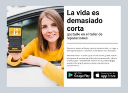 Un Diseño De Sitio Web Exclusivo Para Tienda De Reparacion