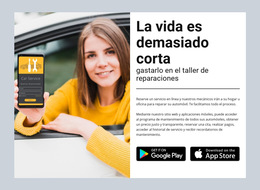 Diseñador De Producto Para Tienda De Reparacion