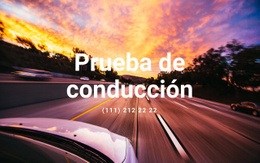 Creador De Sitios Web Exclusivo Para Prueba De Conducción