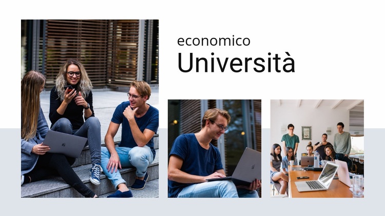 Università economica Mockup del sito web
