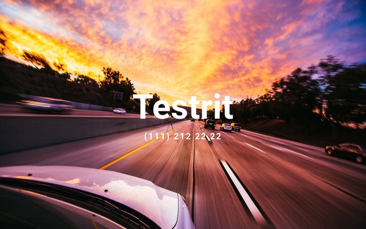 Testrit Website mockup