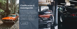 Investigación Ranlings: Creador De Sitios Web Creativo Y Multipropósito