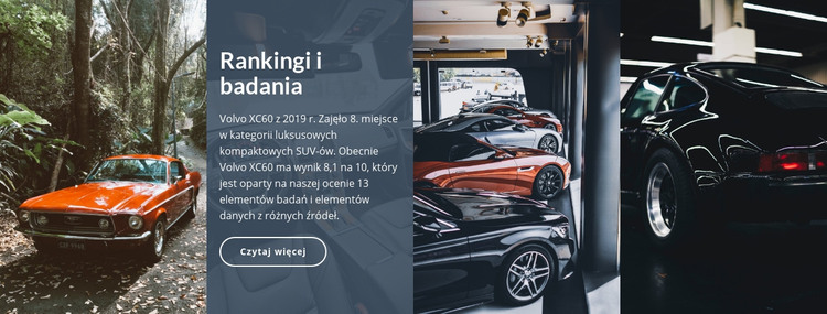 Badania Ranlings Szablon HTML