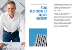 Fonctionnalité De Mise En Page De Thème Pour Consultant En Architecture