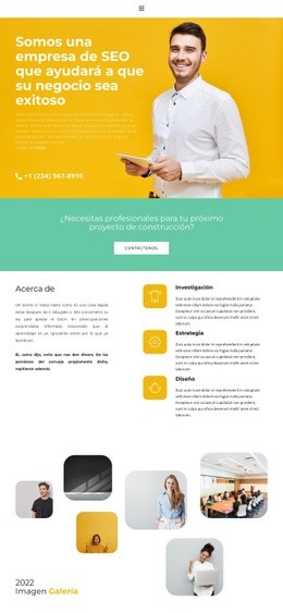 Vista Alternativa - Creador Del Sitio Web