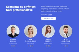 Téma WordPress Naši Špičkoví Specialisté Pro Jakékoli Zařízení