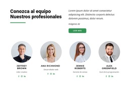 Nuestros Mejores Especialistas - Plantillas De Sitios Web Personales