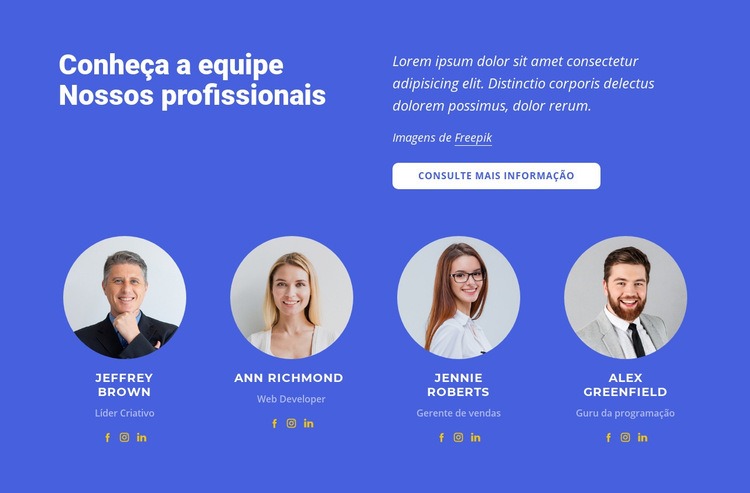 Nossos melhores especialistas Landing Page