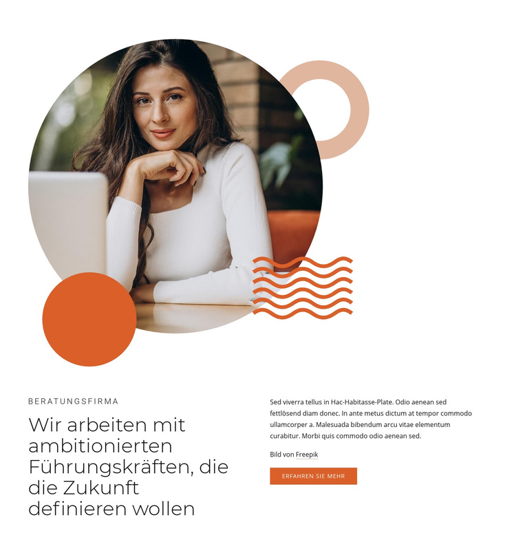 Wir arbeiten mit Führungskräften WordPress-Theme