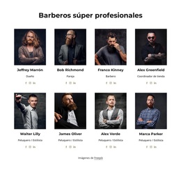 Peluqueros Súper Profesionales