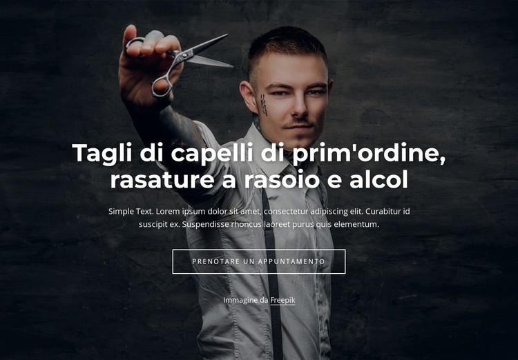 Tagli di capelli di prima qualità Modello CSS