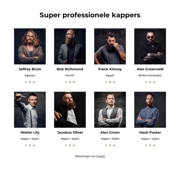 Super professionele kappers Website ontwerp
