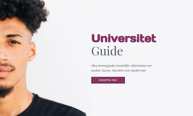 Universitetsguide Hemsidedesign