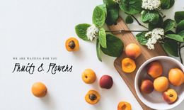 Fruits And Flowers - HTML Website Designer