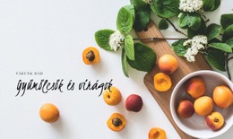 Gyümölcsök És Virágok #Templates-Hu-Seo-One-Item-Suffix