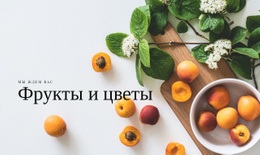Фрукты И Цветы Базовый HTML-Шаблон С CSS
