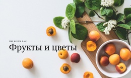 Фрукты И Цветы