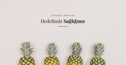 Sağlığın - Bir Sayfalık Önyükleme Şablonu