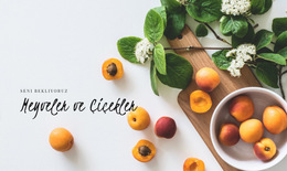 Meyveler Ve Çiçekler - Ücretsiz Css Teması