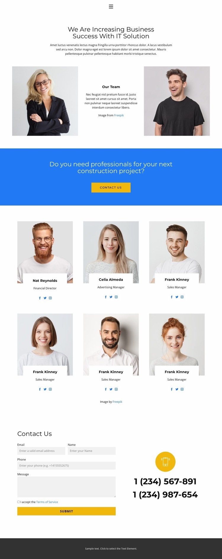 The best of the team Elementor Template Alternative