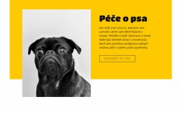 Všichni Milují Psy – Šablona Stránky HTML