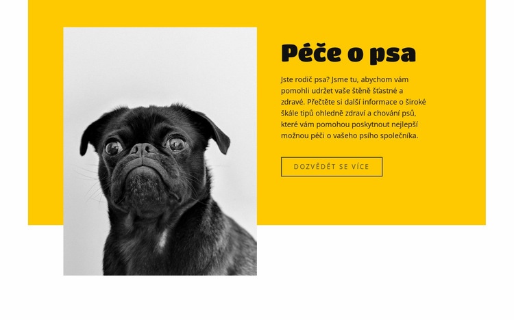 Všichni milují psy Webový design