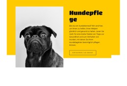 Jeder Liebt Hunde Kostenlose CSS-Vorlage