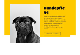 HTML-Landingpage Für Jeder Liebt Hunde