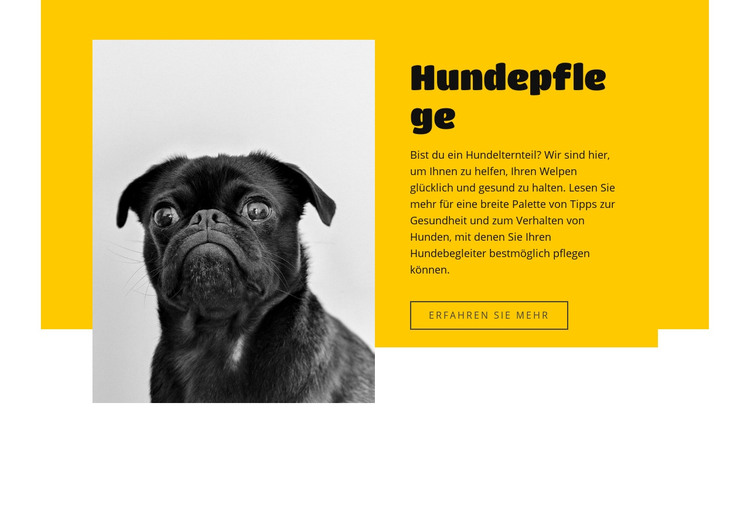 Jeder liebt Hunde HTML-Vorlage