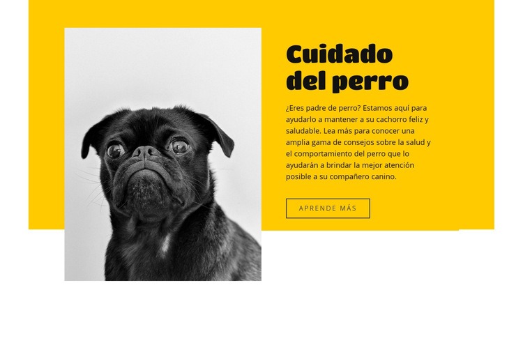 Todo el mundo ama a los perros Diseño de páginas web