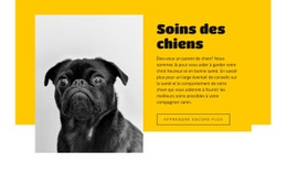 Tout Le Monde Aime Les Chiens - Conception Créative De Sites Polyvalents