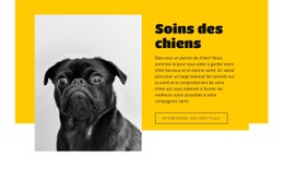 Tout Le Monde Aime Les Chiens Modèle CSS Gratuit